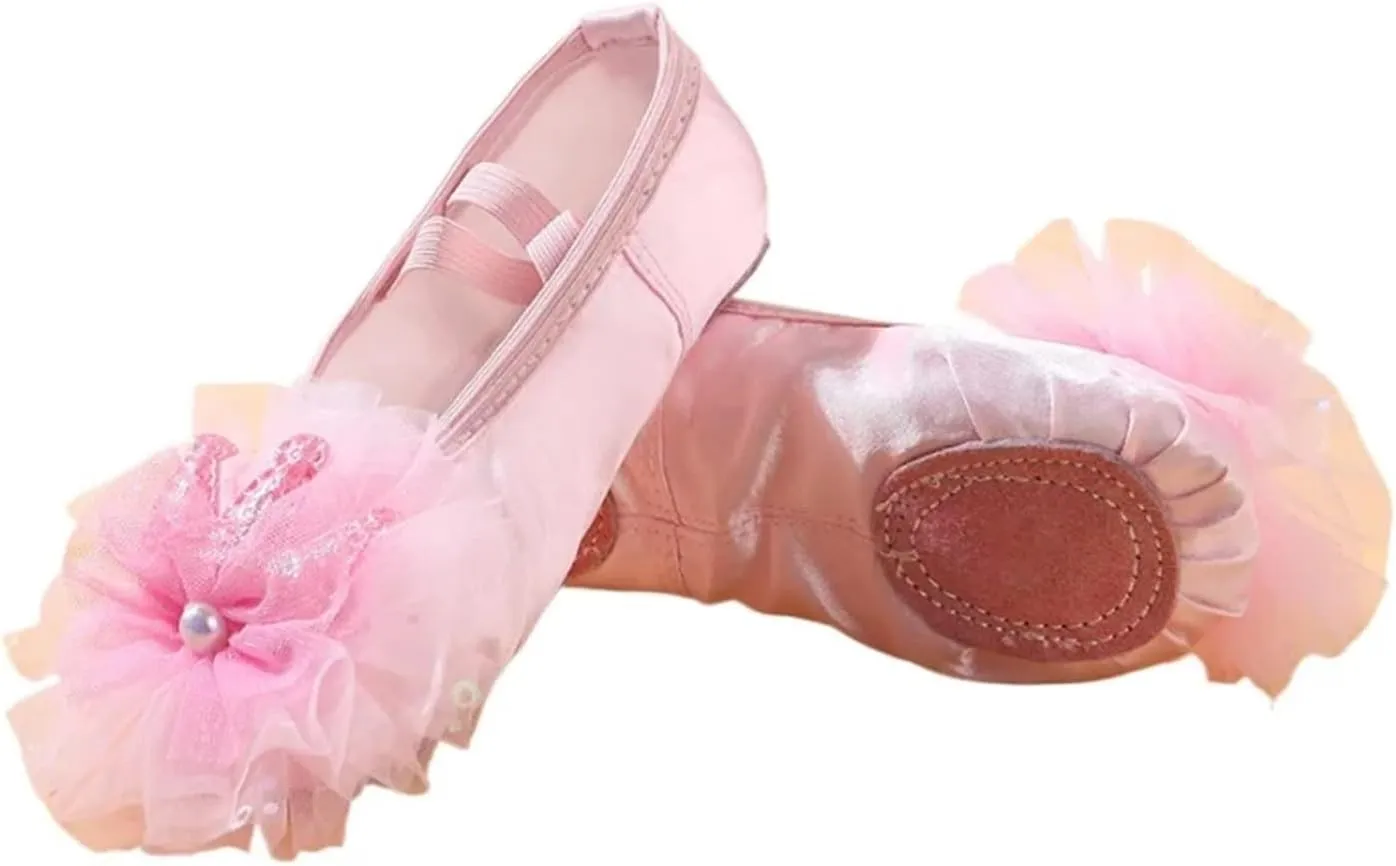 Girl Dance Shoes Kid Ballet Flat Toddler Ballet Shoe Princess Cheer Shoes Soft Sole Exercise Shoe Lace Dance Shoe(Pink,27insole16.5cm)