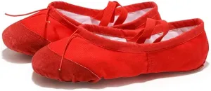 Girls Ballet Shoes Canvas Flat Ballet Dancing Slippers Dance Shoes for Adult Women Kids Children Classic Split-Sole Soft Leather(Multi,34(20.5cm))